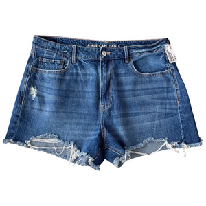 american eagle Shorts Size 13/14