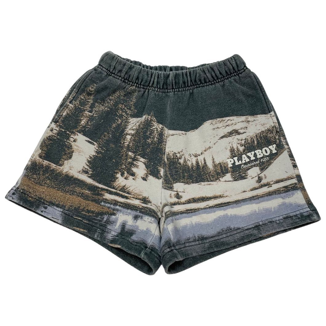 pac sun Shorts Size Extra Small